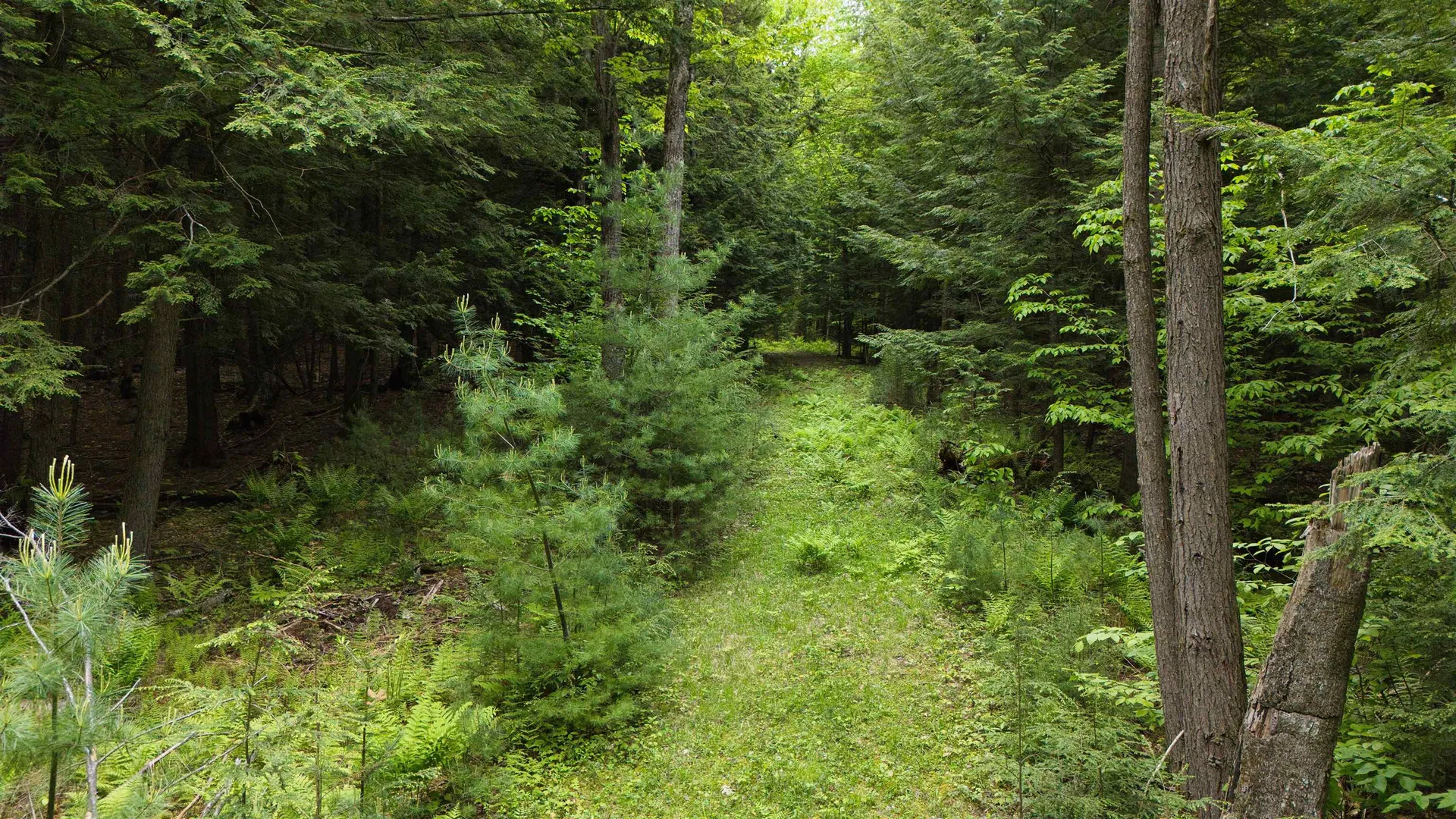 Lot 13 Beach Pond Road Wolfeboro NH 03894