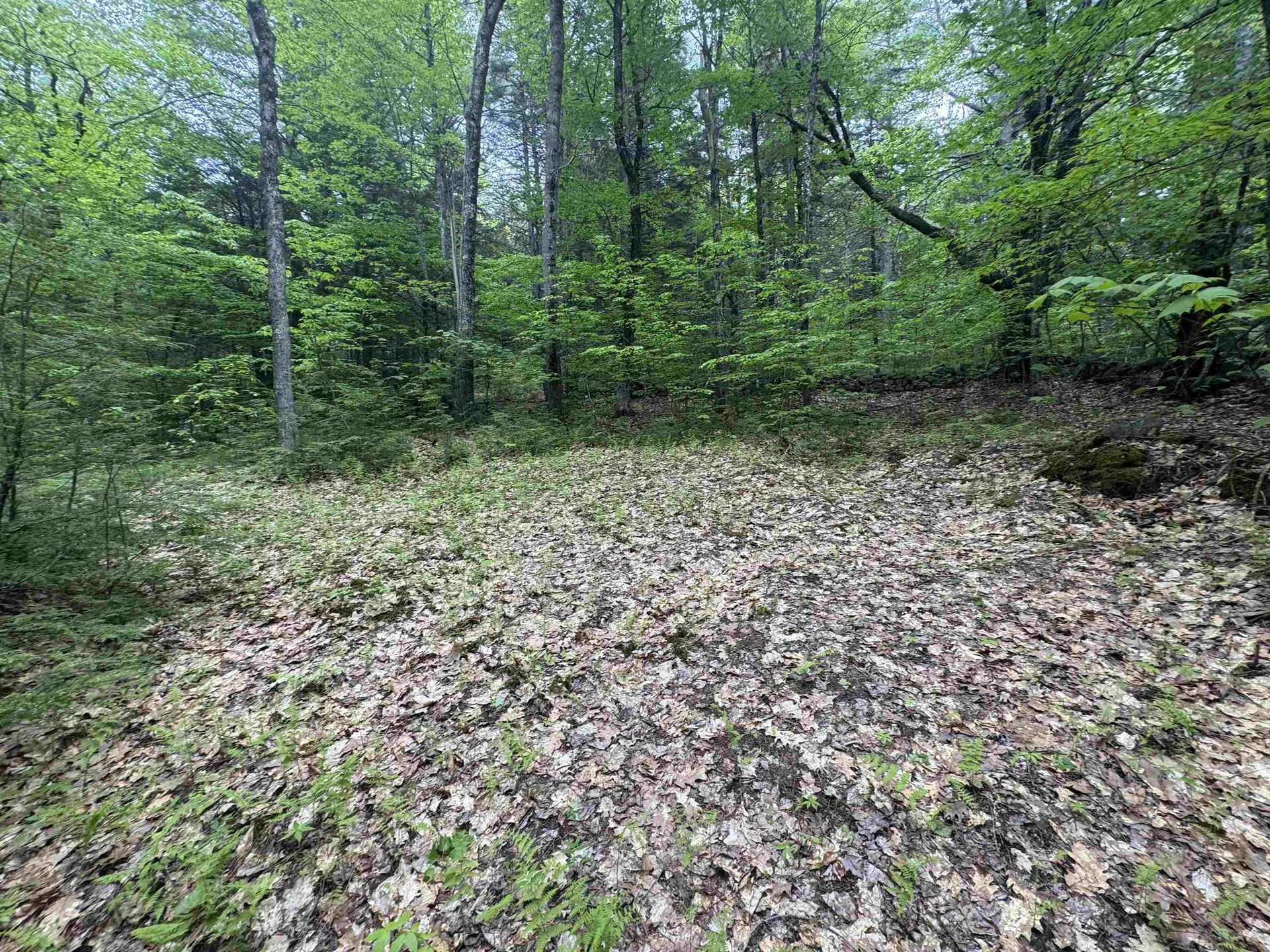 Lot 13 Beach Pond Road Wolfeboro NH 03894