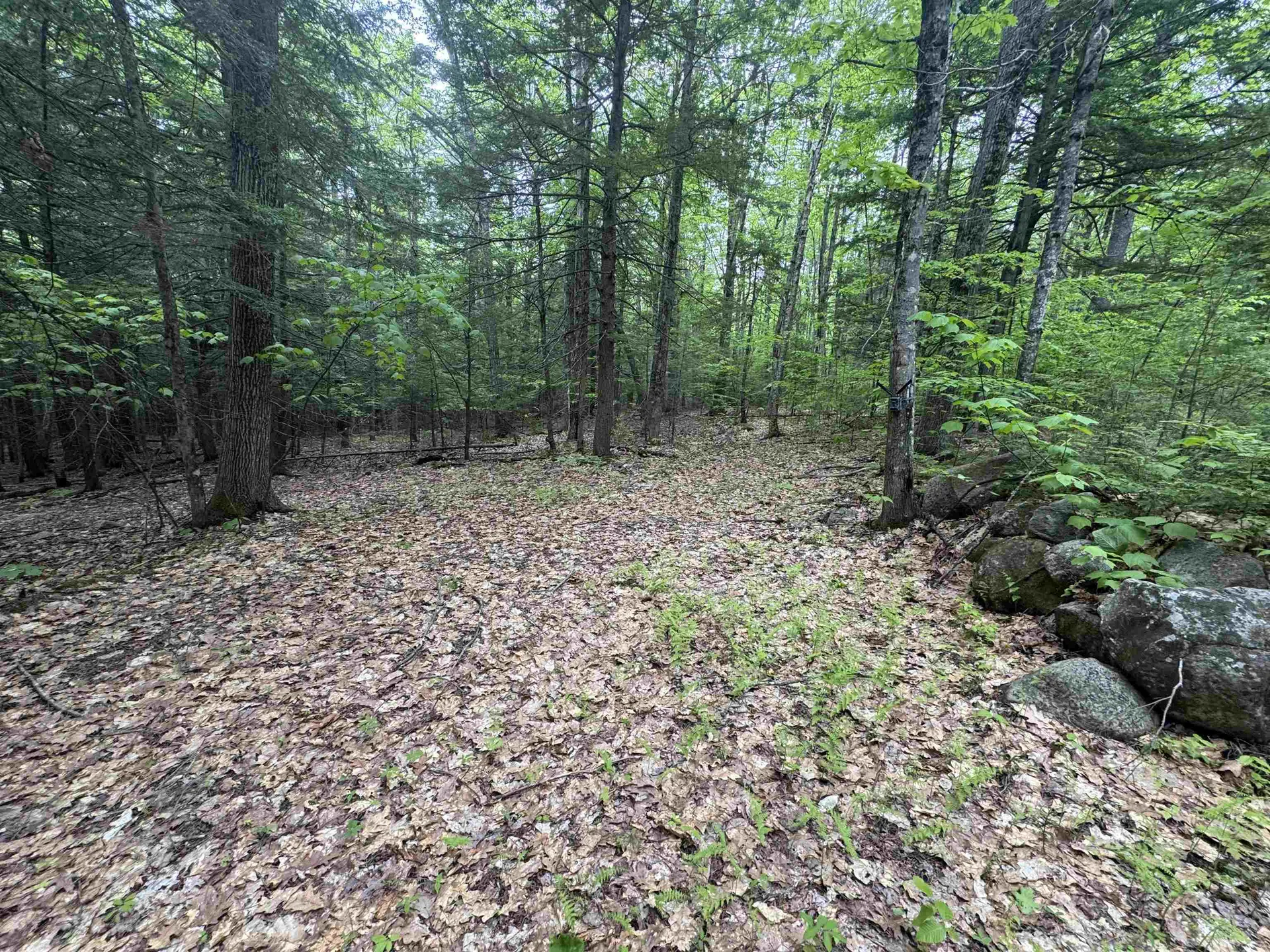 Lot 13 Beach Pond Road Wolfeboro NH 03894