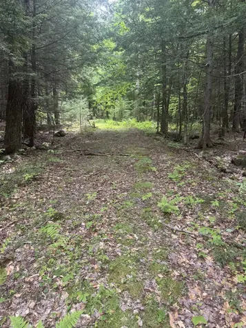 Lot 13 Beach Pond Road Wolfeboro NH 03894