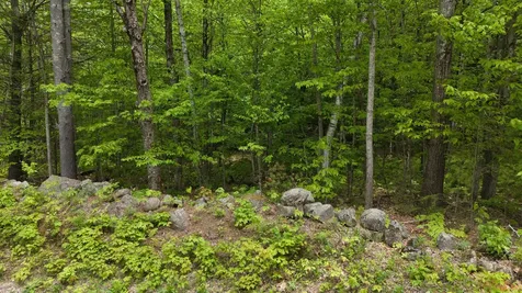 Lot 13 Beach Pond Road Wolfeboro NH 03894