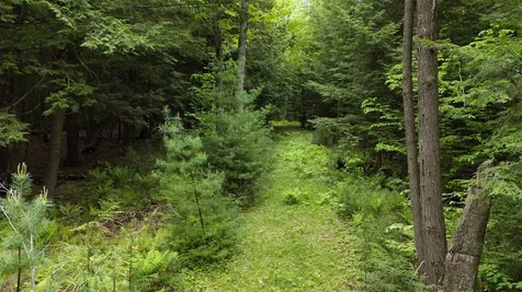 Lot 13 Beach Pond Road Wolfeboro NH 03894
