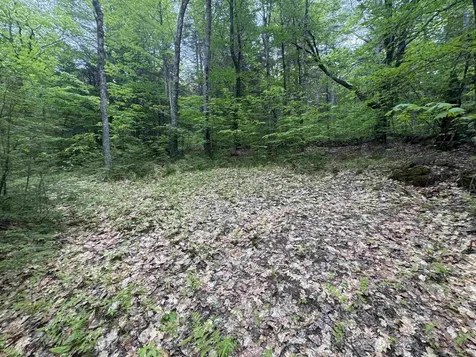 Lot 13 Beach Pond Road Wolfeboro NH 03894