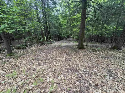 Lot 13 Beach Pond Road Wolfeboro NH 03894