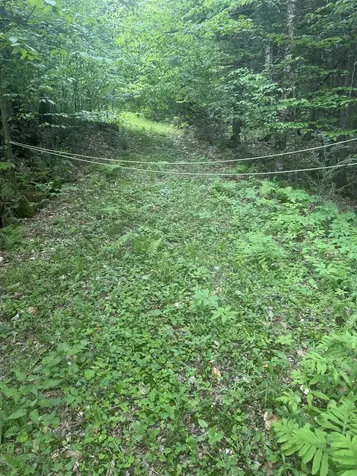 Lot 13 Beach Pond Road Wolfeboro NH 03894