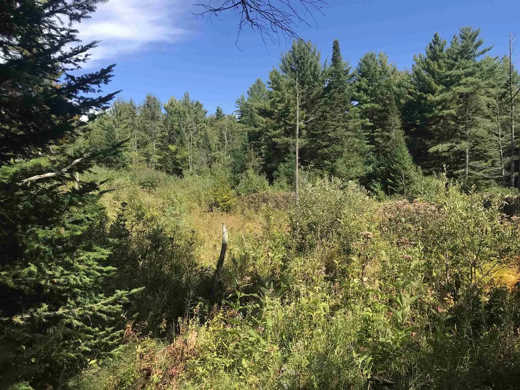 690 High Ridge Road Waterford VT 05819