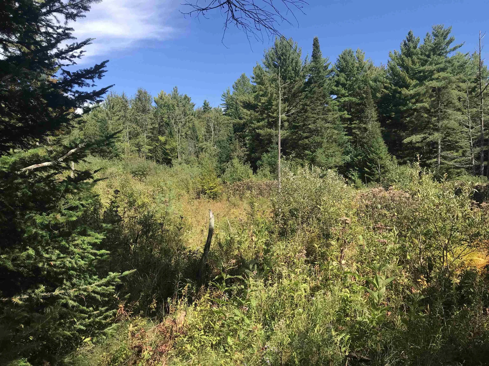 690 High Ridge Road Waterford VT 05819