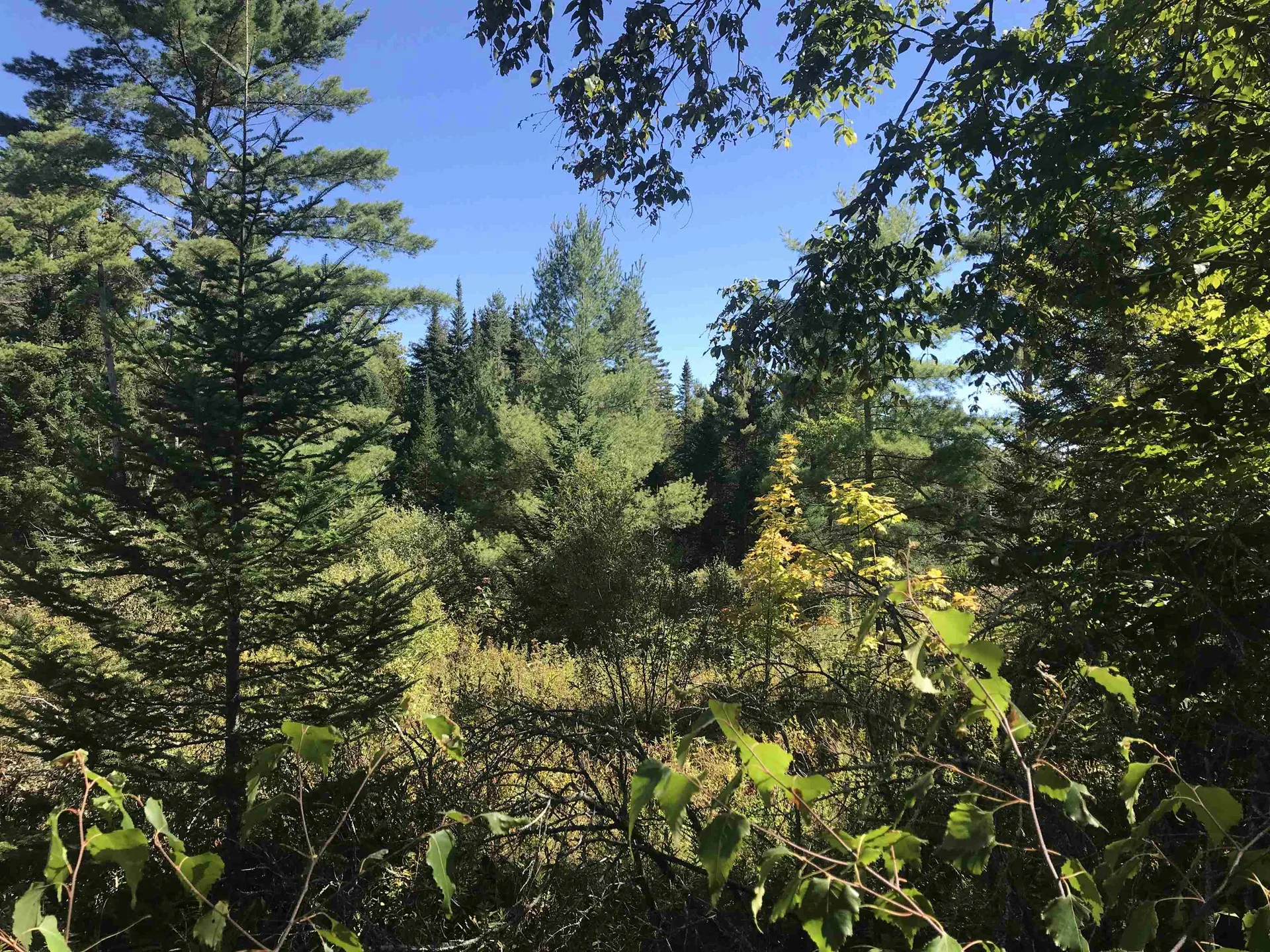 690 High Ridge Road Waterford VT 05819
