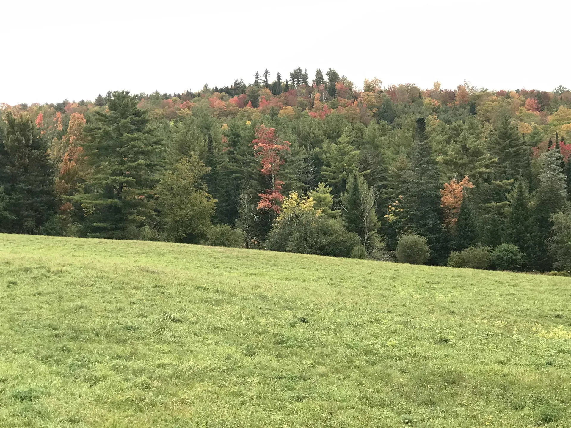 690 High Ridge Road Waterford VT 05819
