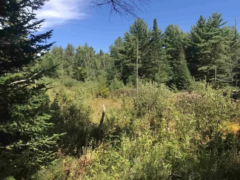 690 High Ridge Road Waterford VT 05819