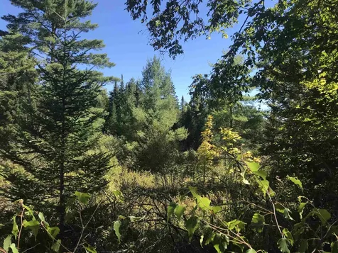 690 High Ridge Road Waterford VT 05819