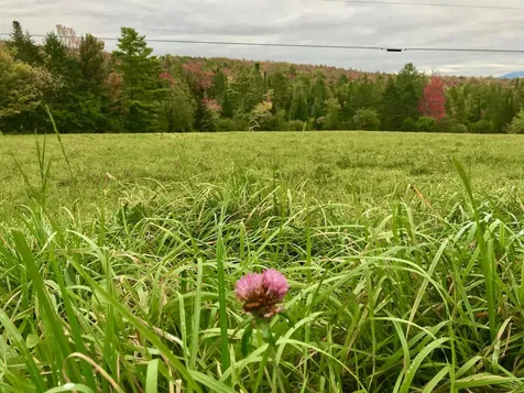 690 High Ridge Road Waterford VT 05819