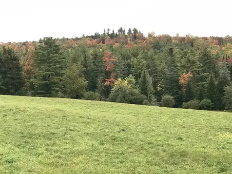 690 High Ridge Road Waterford VT 05819