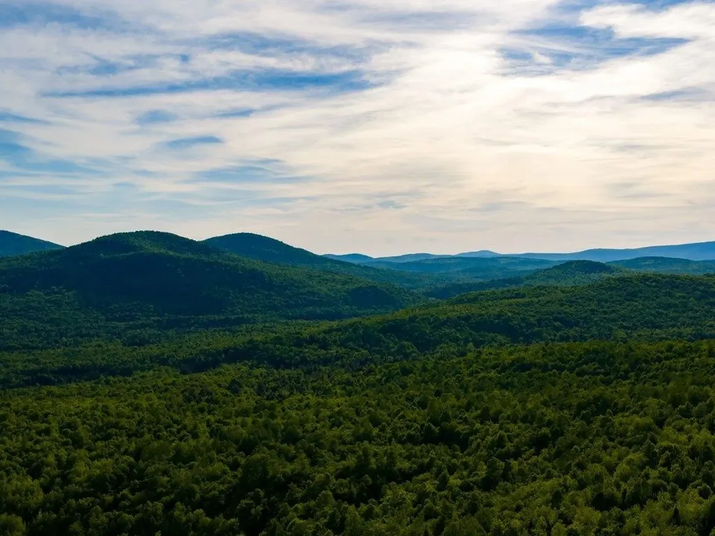 3180 Bear Hill Road Maidstone VT 05905