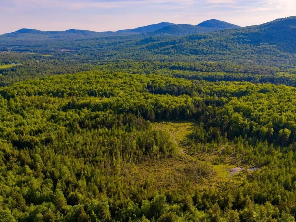 3180 Bear Hill Road Maidstone VT 05905