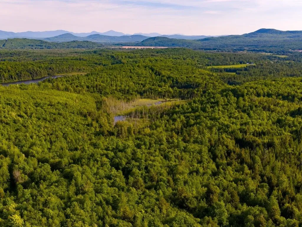 3180 Bear Hill Road Maidstone VT 05905