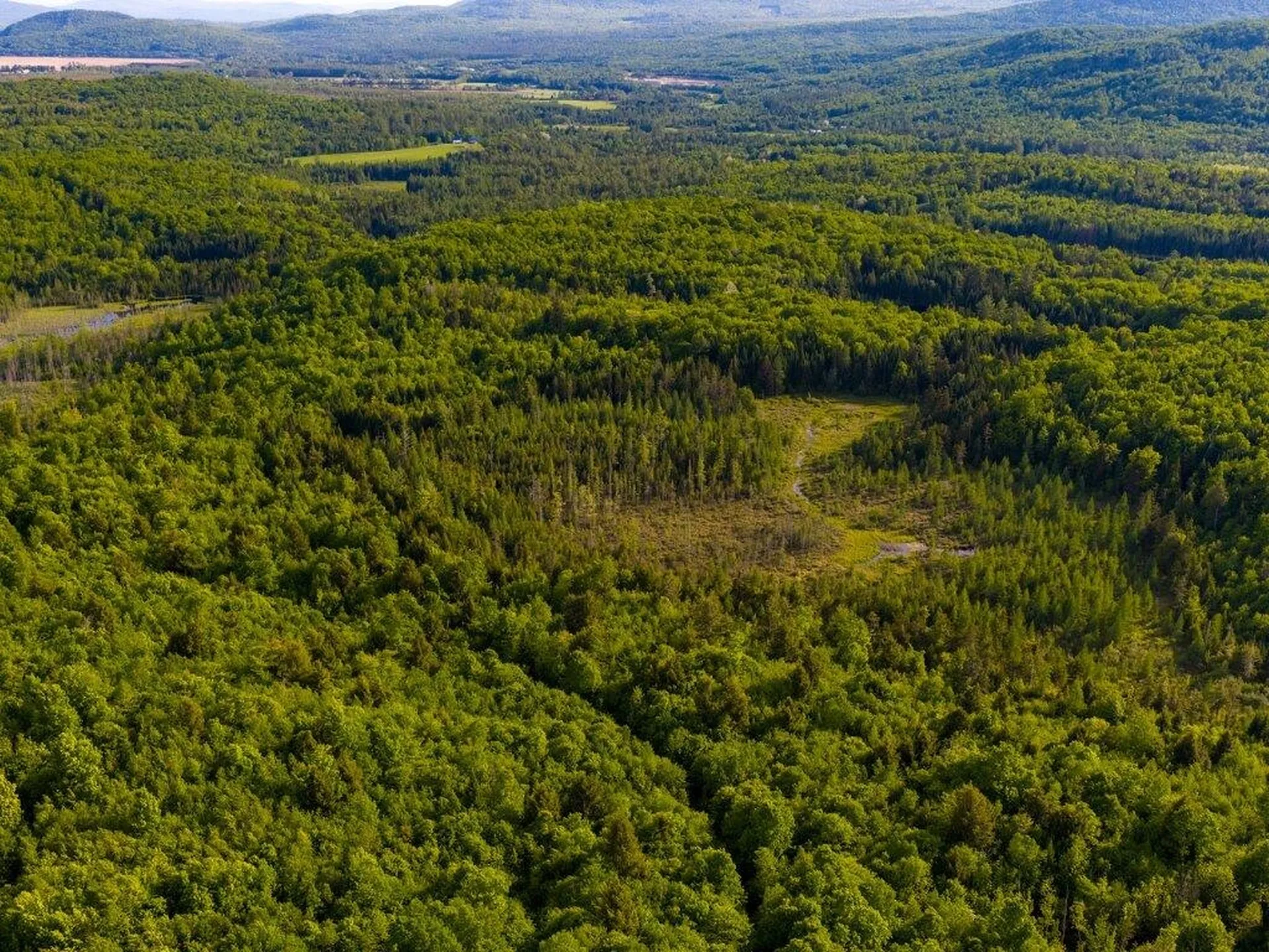 3180 Bear Hill Road Maidstone VT 05905