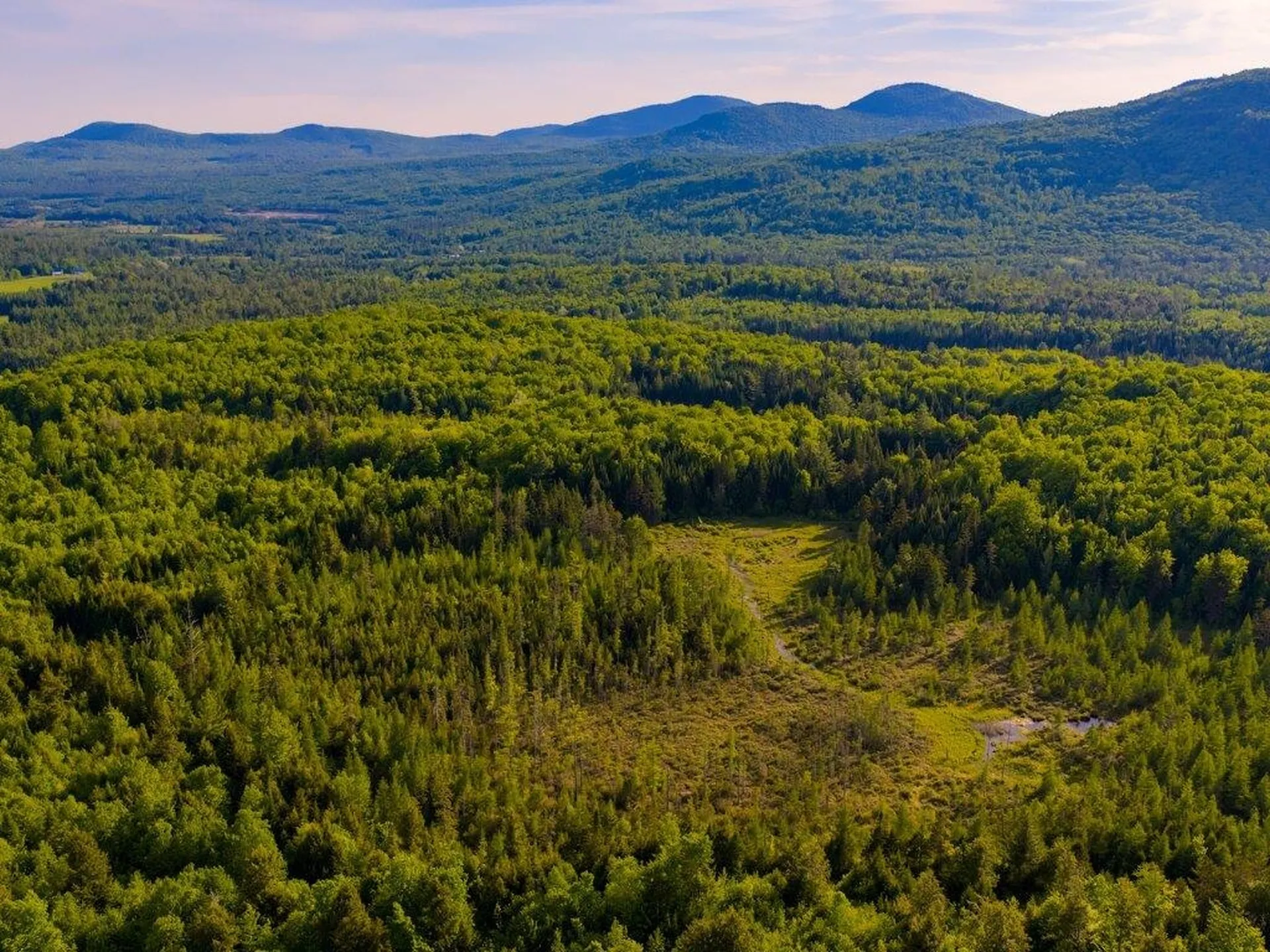 3180 Bear Hill Road Maidstone VT 05905