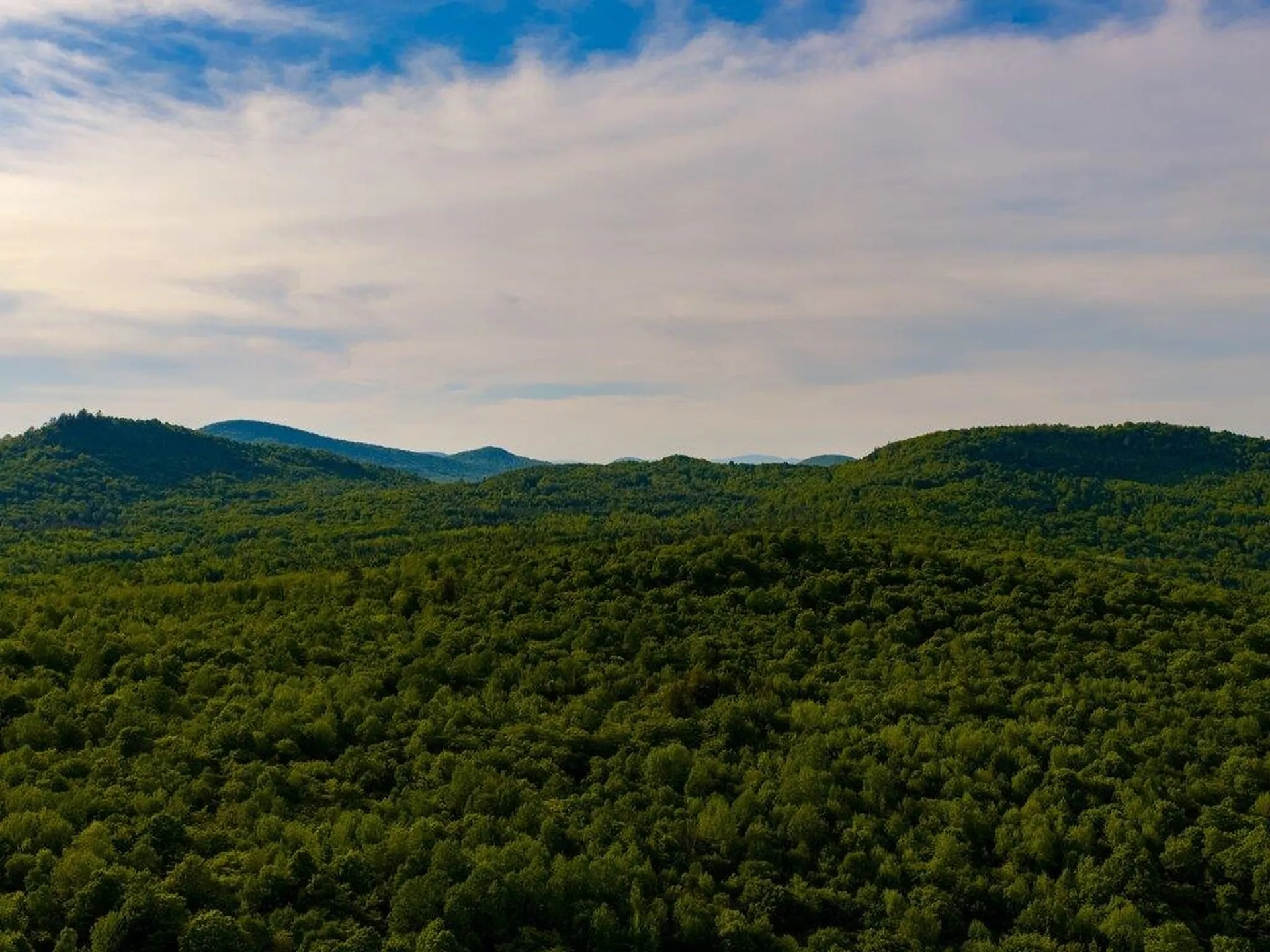 3180 Bear Hill Road Maidstone VT 05905