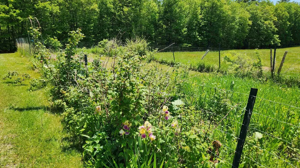 147 Church Road Unity NH 03603