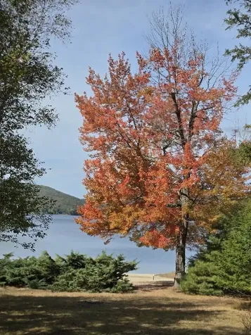 450 Shaker Boulevard Enfield NH 03748