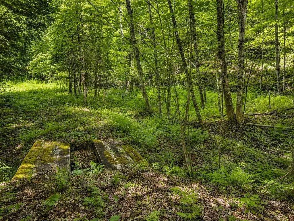 785 Leroux Road Wheelock VT 05851