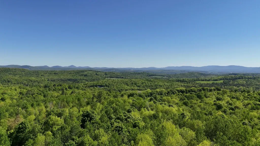 785 Leroux Road Wheelock VT 05851
