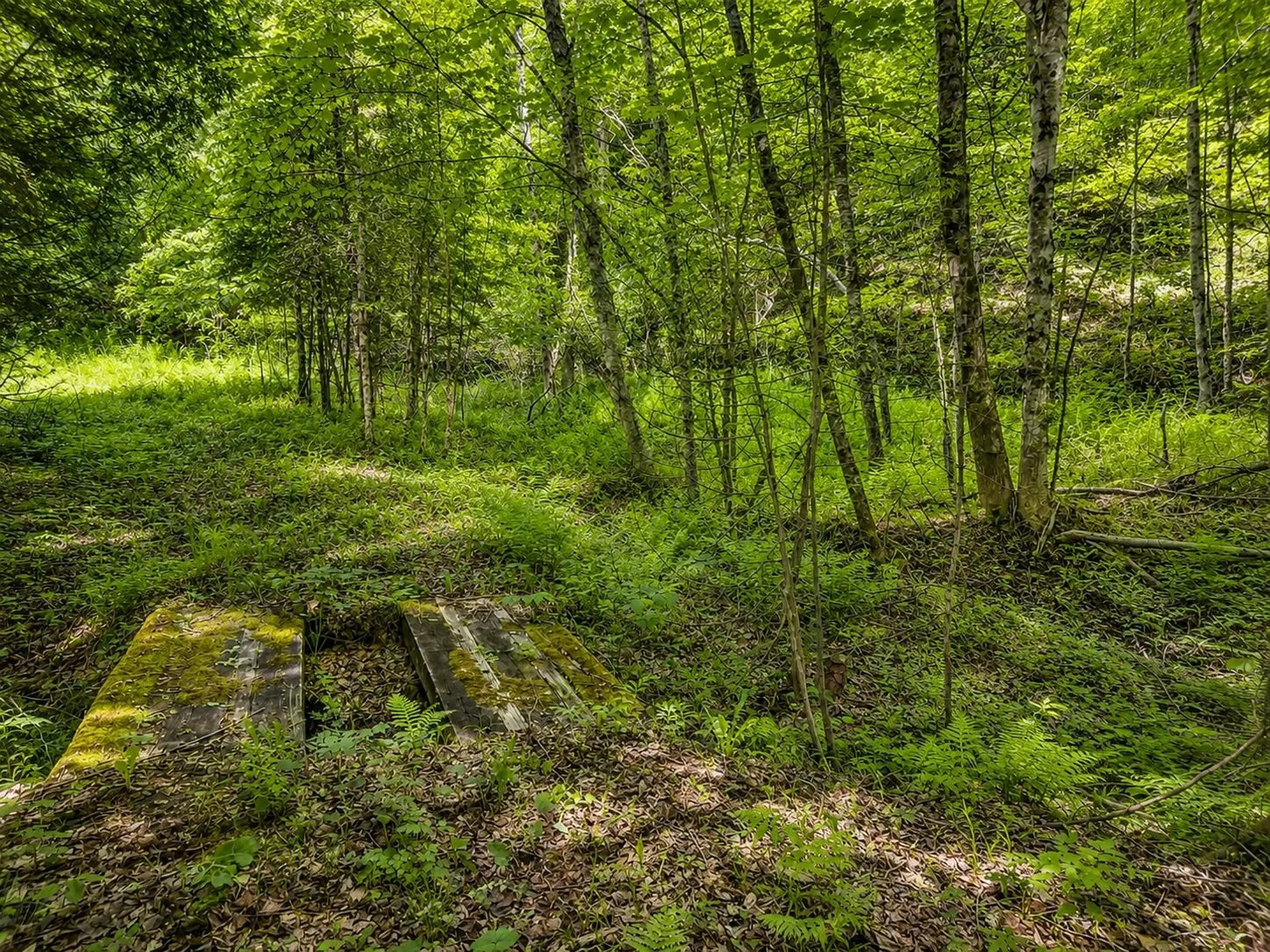 785 Leroux Road Wheelock VT 05851