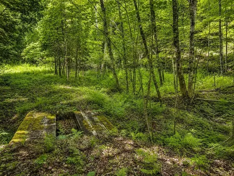 785 Leroux Road Wheelock VT 05851
