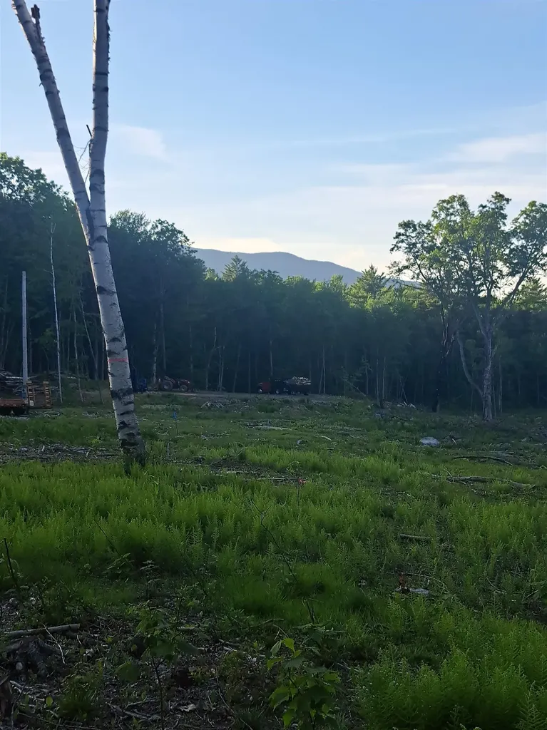 140 Great Road Jaffrey NH 03452