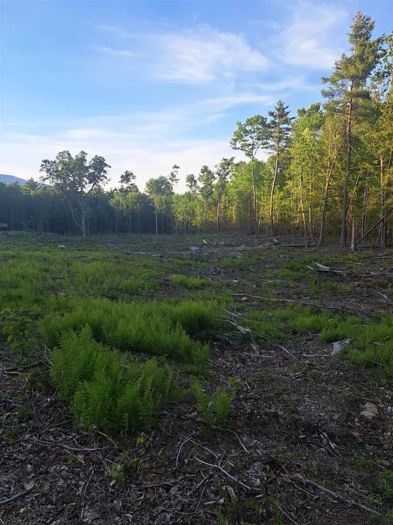140 Great Road Jaffrey NH 03452