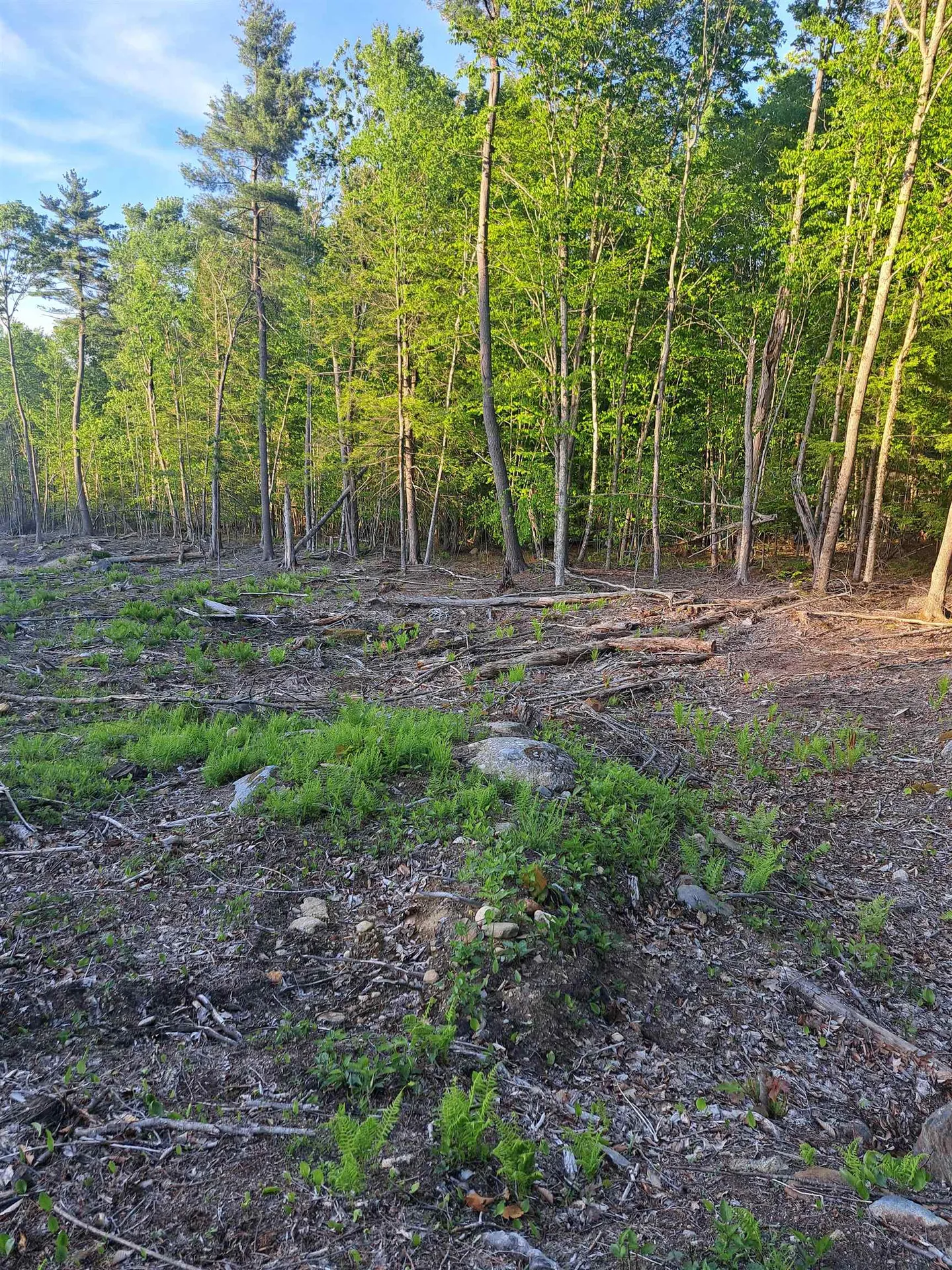 140 Great Road Jaffrey NH 03452