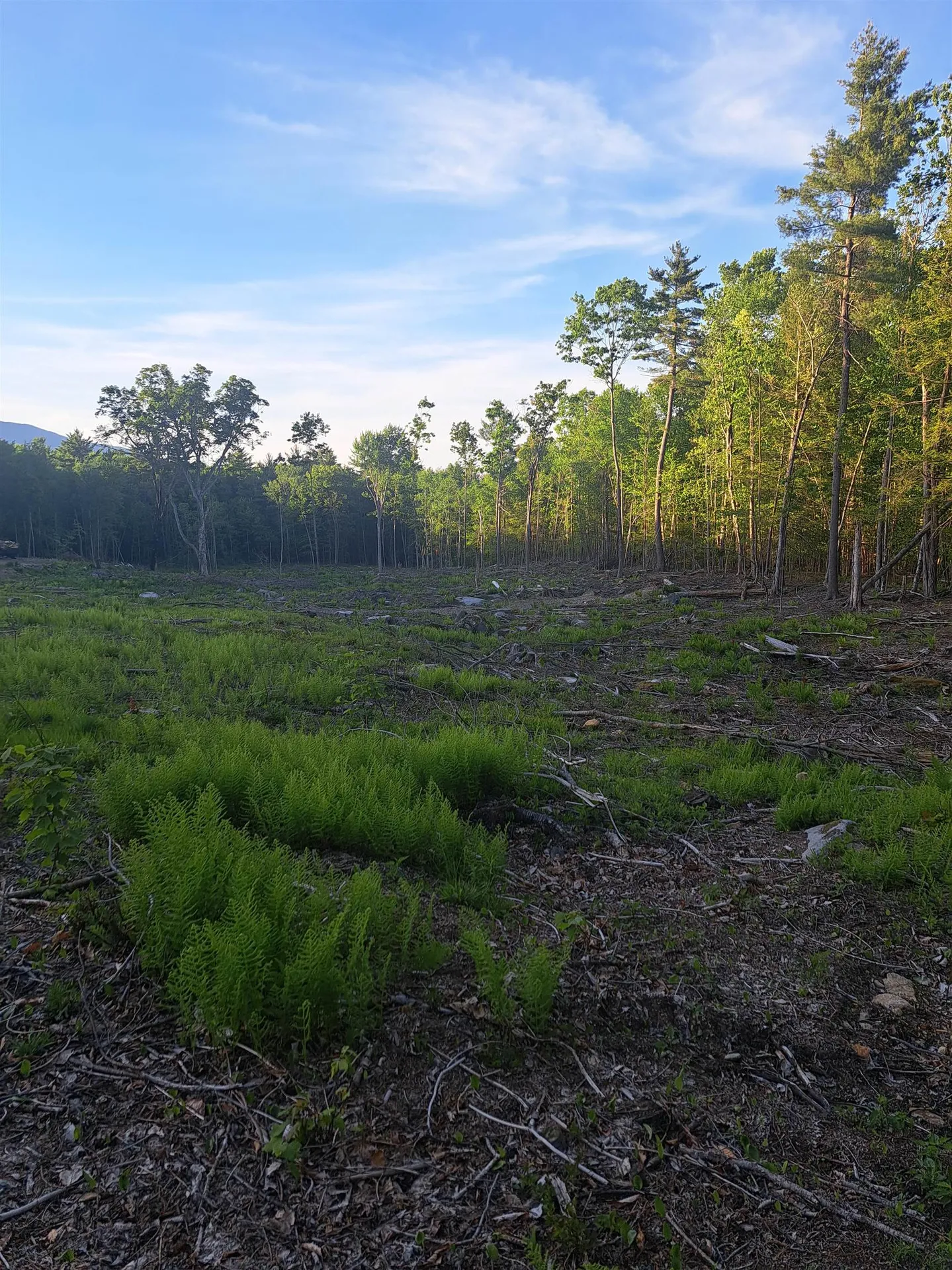 140 Great Road Jaffrey NH 03452