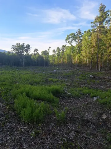 140 Great Road Jaffrey NH 03452