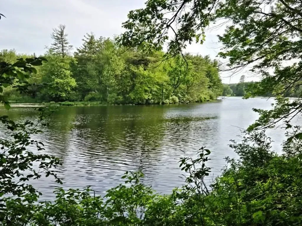 51 Bartemus Trail Nashua NH 03063
