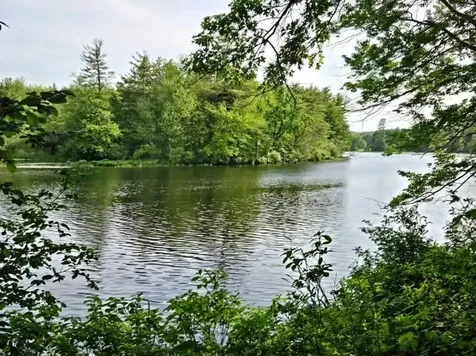 51 Bartemus Trail Nashua NH 03063