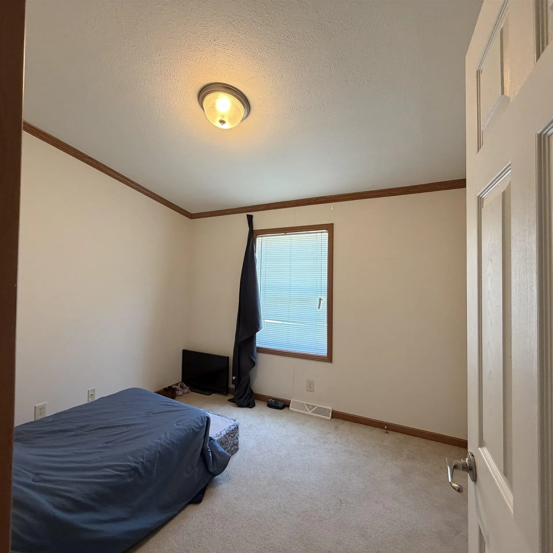 19 Holly Park Lane Rochester NH 03867