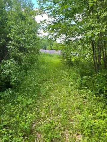 6 Button Road Jefferson NH 03583