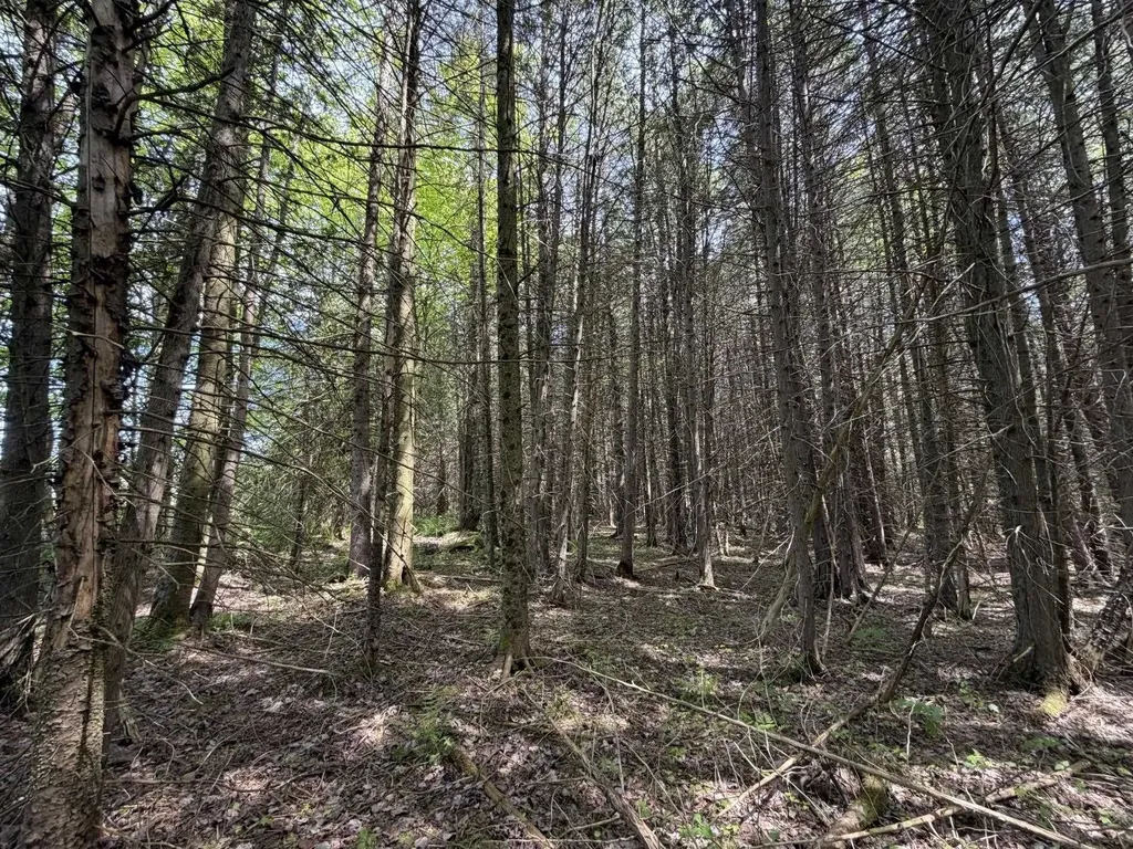 2278 Valley Road Holland VT 05830