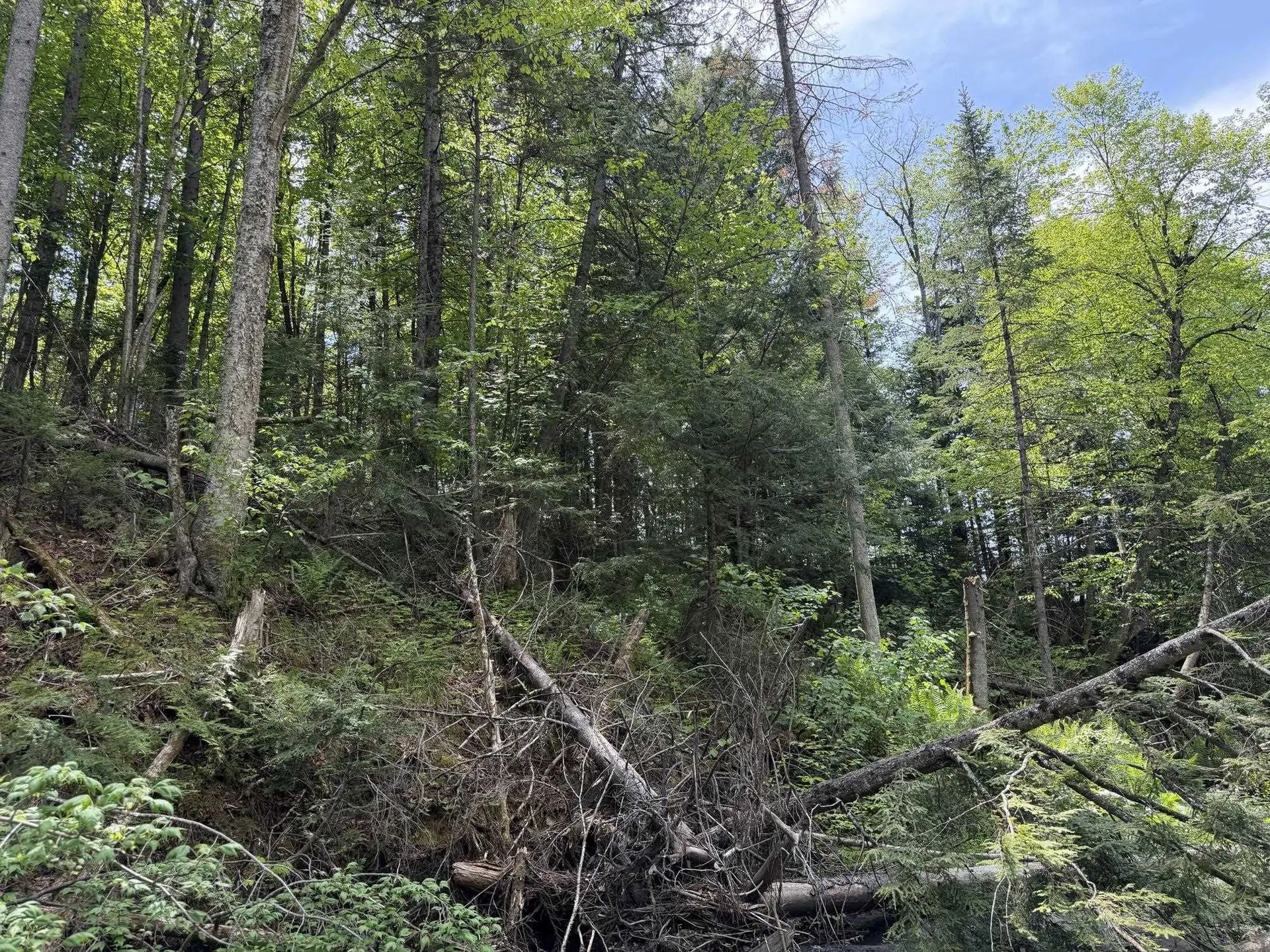 2278 Valley Road Holland VT 05830