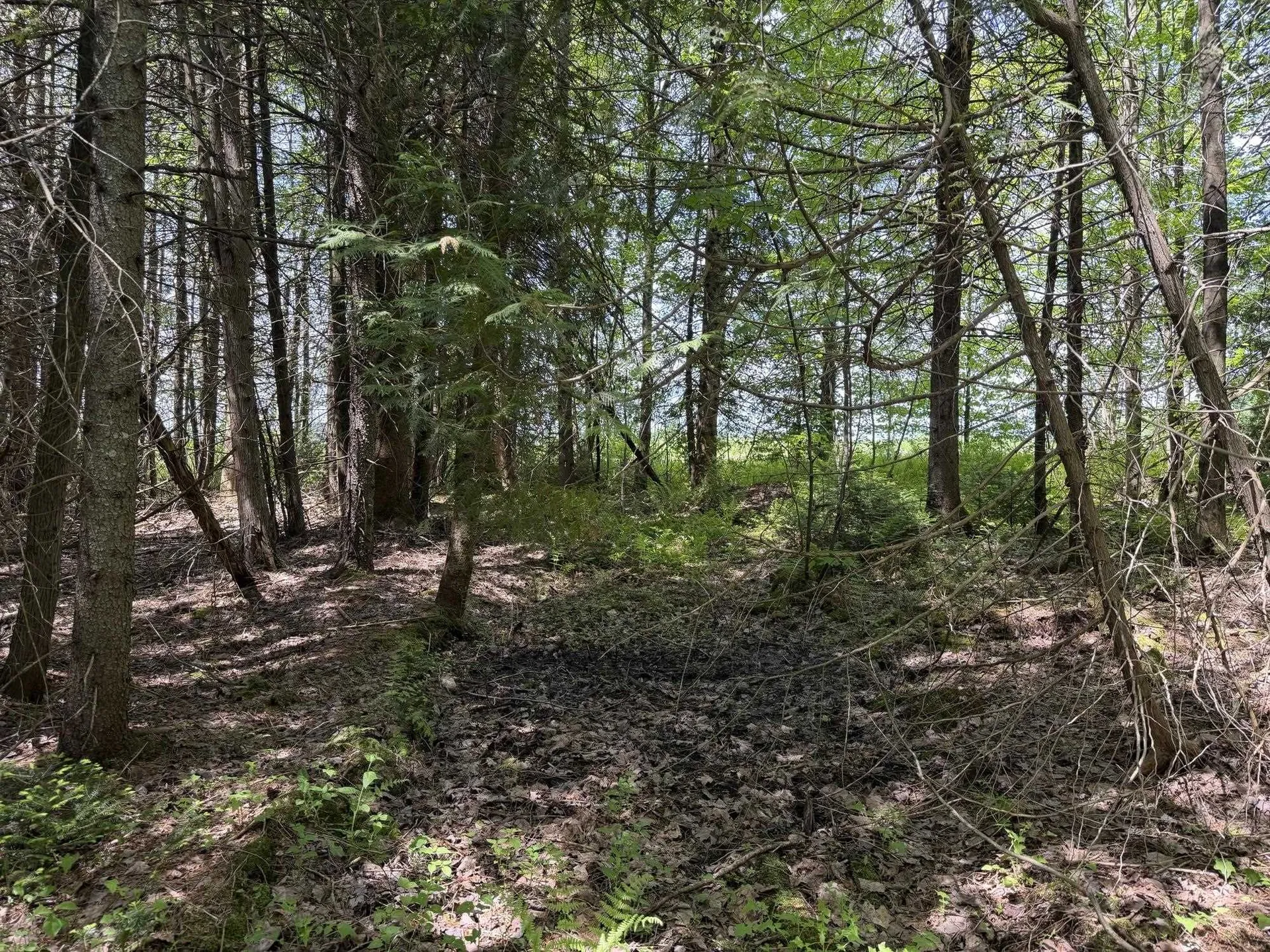 2278 Valley Road Holland VT 05830