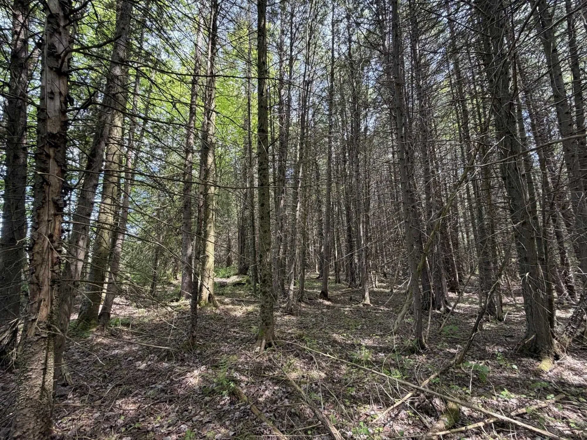 2278 Valley Road Holland VT 05830