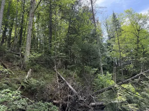 2278 Valley Road Holland VT 05830