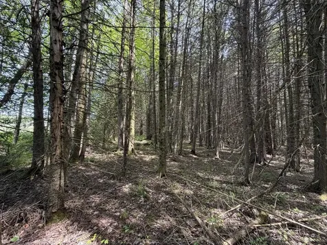 2278 Valley Road Holland VT 05830