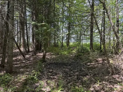 2278 Valley Road Holland VT 05830
