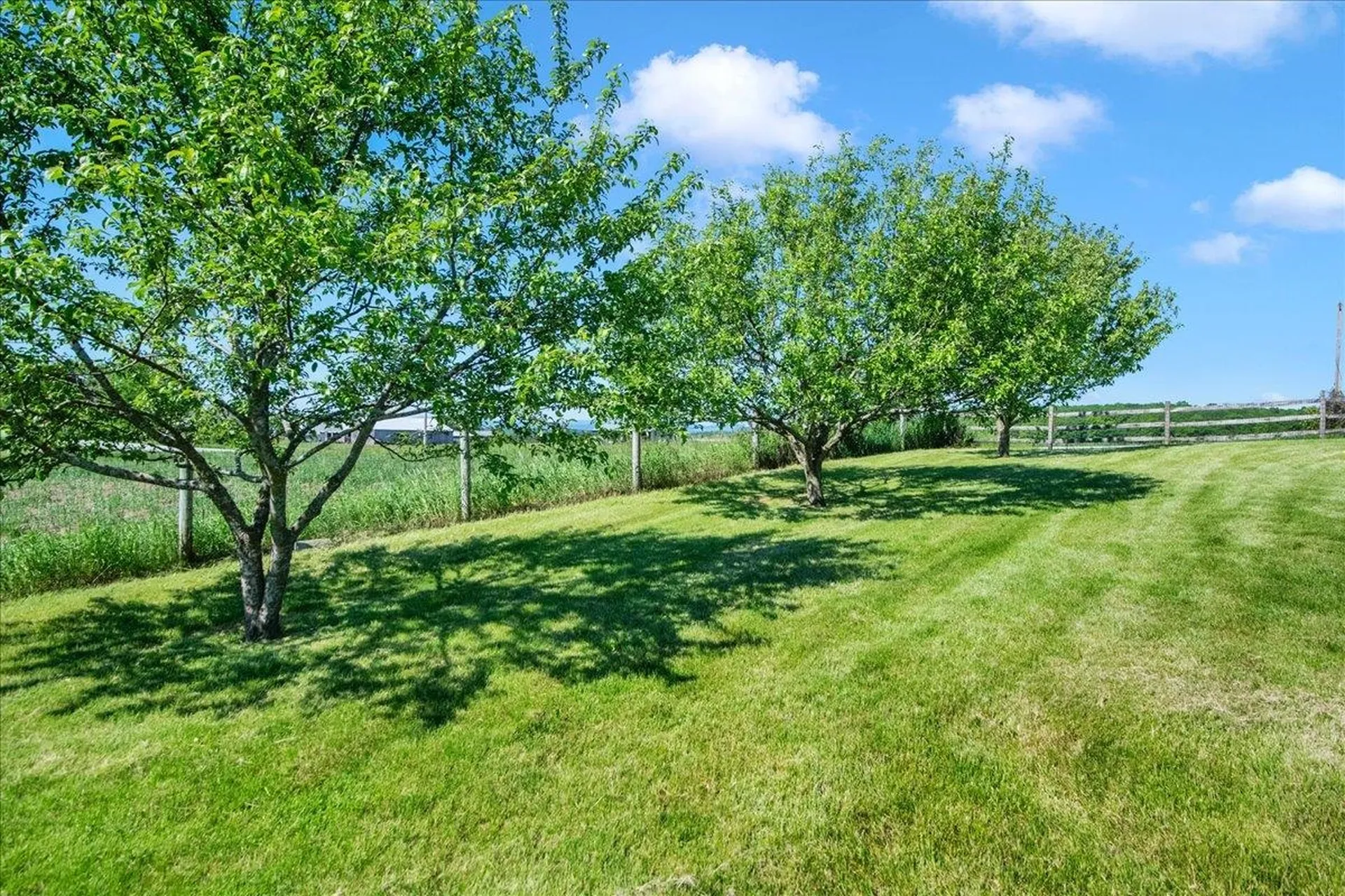 239 North Orwell Road Orwell VT 05760