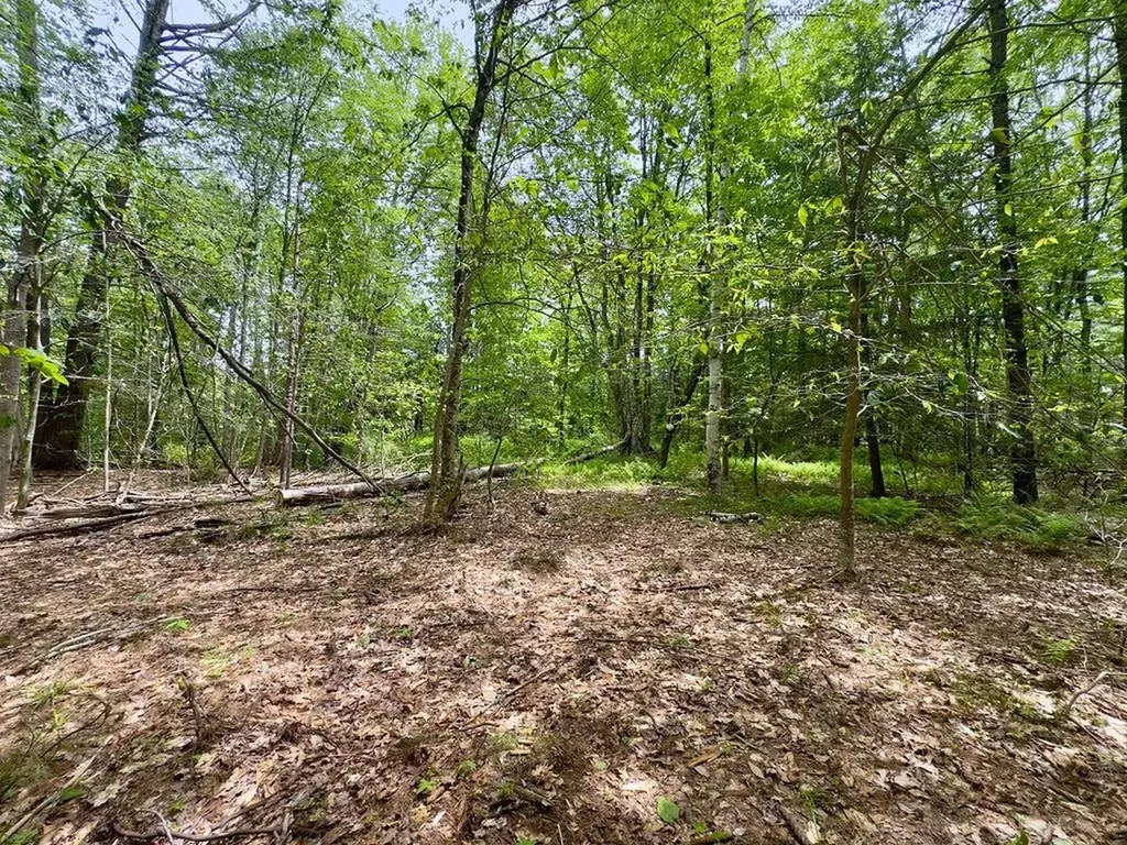 77-79 Province Road Strafford NH 03884