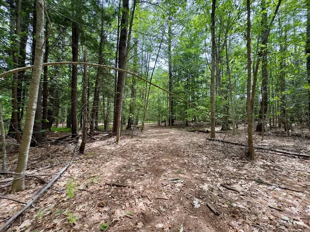 77-79 Province Road Strafford NH 03884