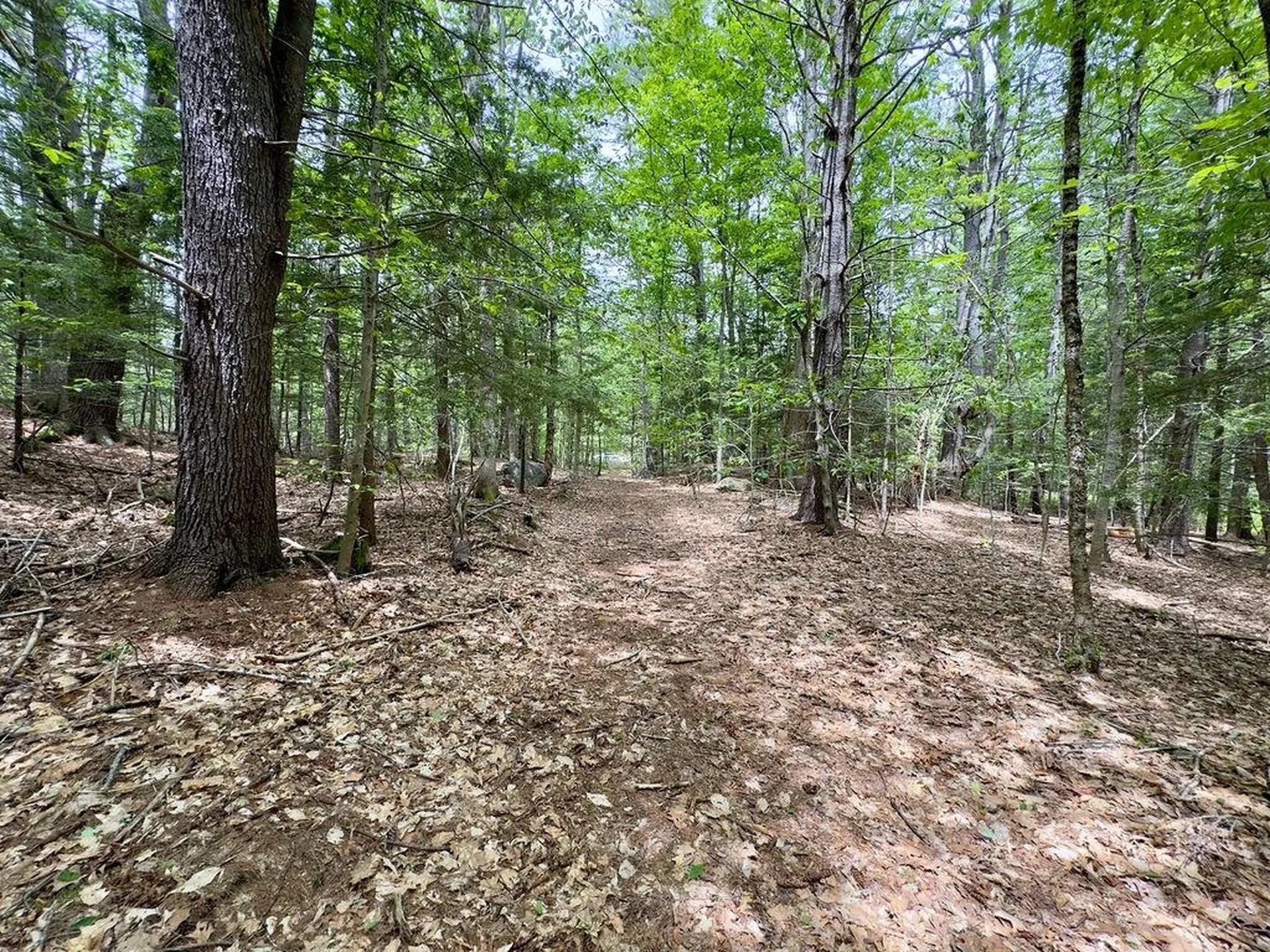77-79 Province Road Strafford NH 03884