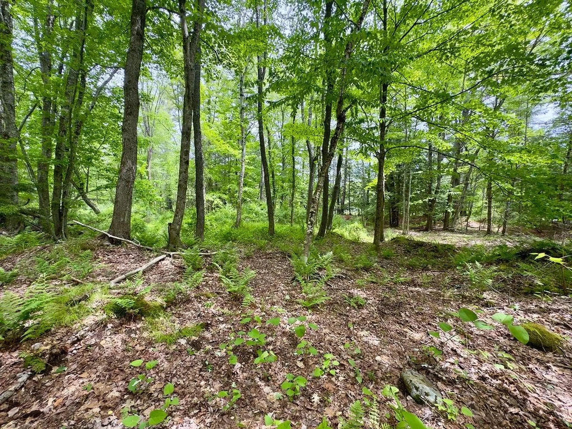 77-79 Province Road Strafford NH 03884